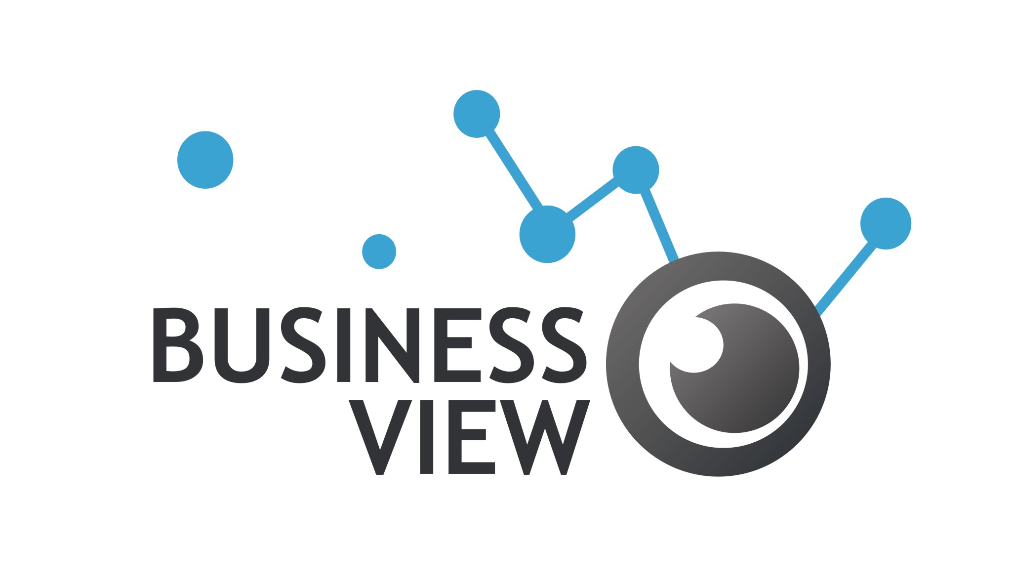 BusinessView Software