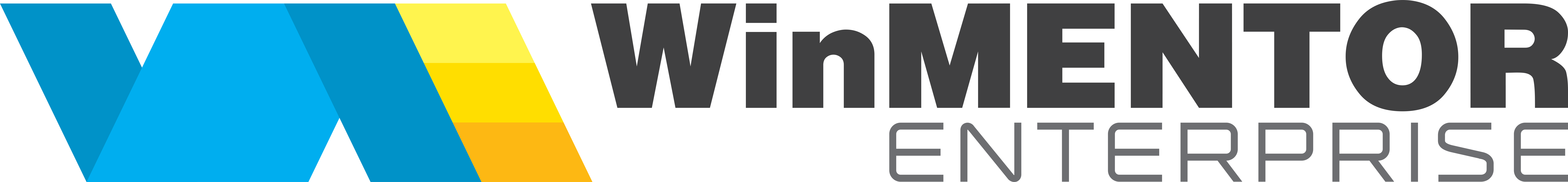 WinMentor Enterprise
