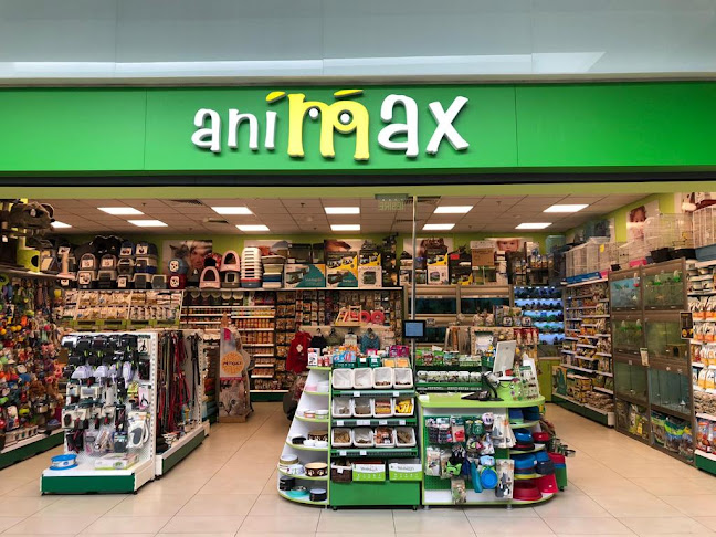 Cum a reușit Animax să automatizeze vânzările online și să scadă cu 70% procesarea manuală?