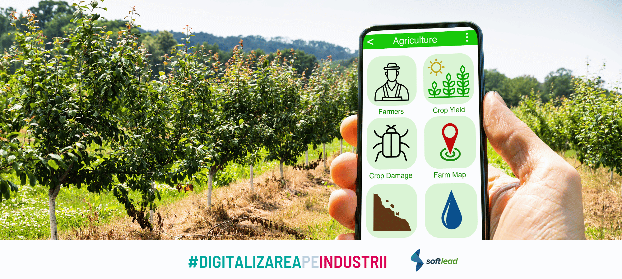 Softlead lansează o Campanie specială dedicată digitalizării industriei agri-business