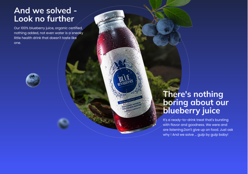 The Blue Renaissance - e-Commerce Website