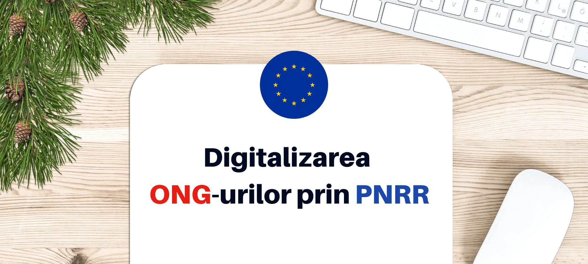 Digitalizarea ONG-urilor prin PNRR