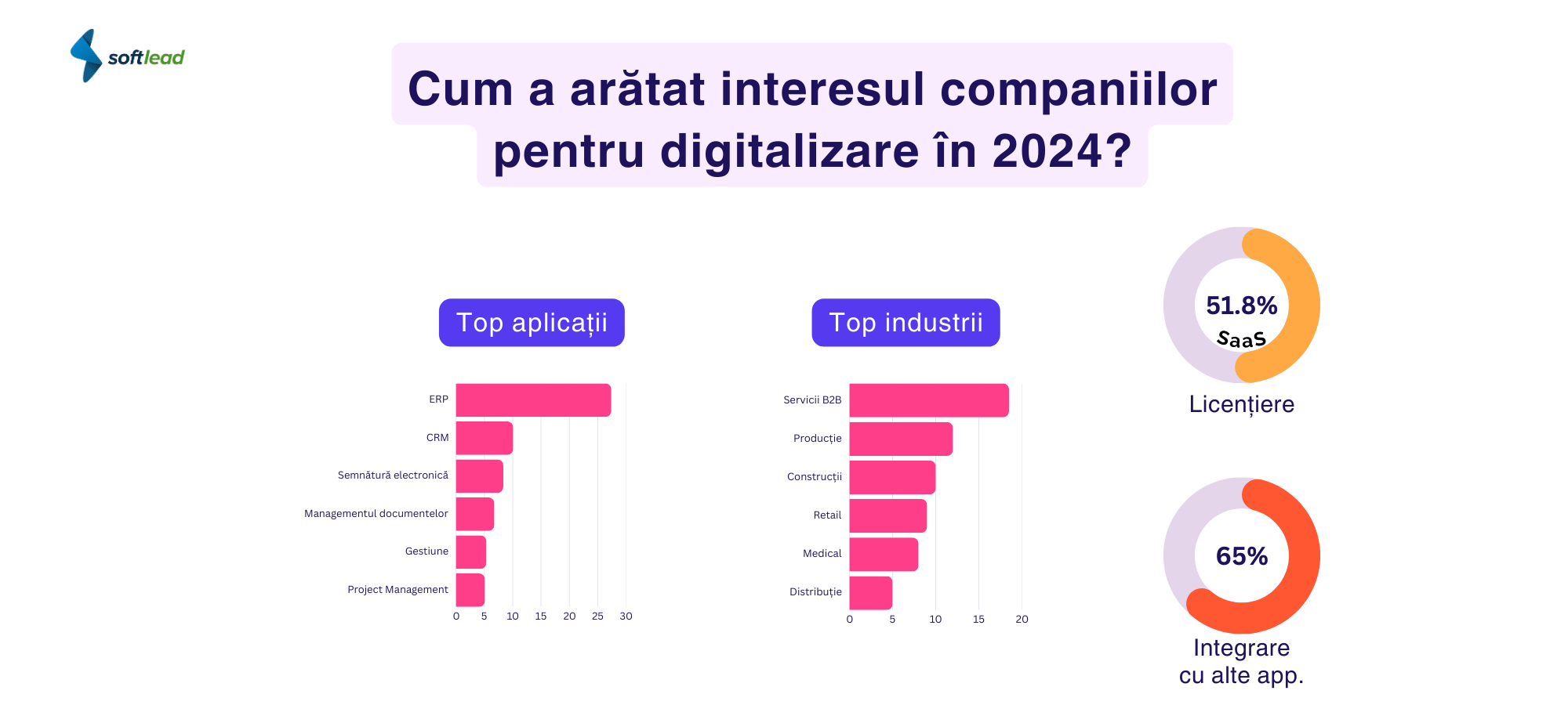 Grafic Softlead: Cum a arătat interesul pentru digitalizare al companiilor din România în 2024?