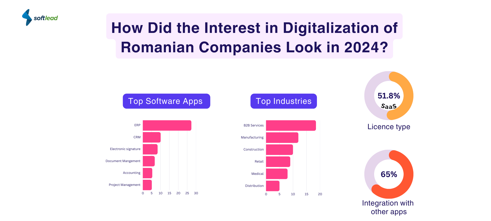 ROmanian Software Market: How Did the Interest in Digitalization of Romanian Companies Look in 2024?