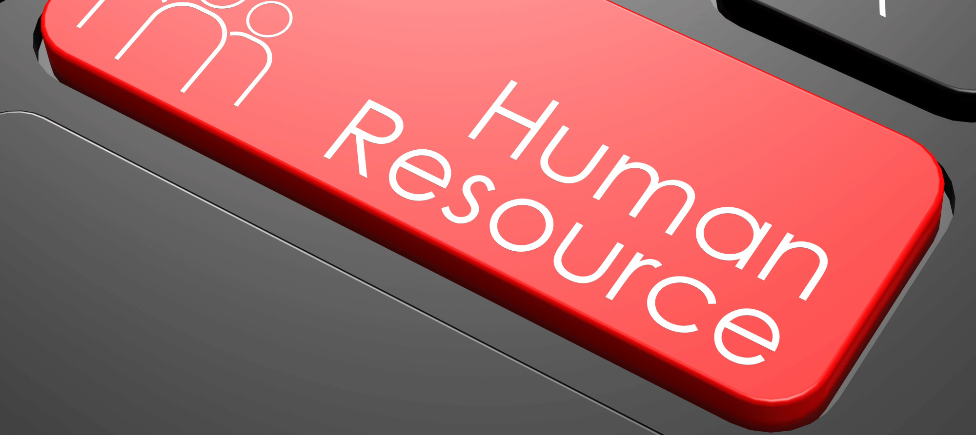 Wizrom Software preia compania Co-Factor  și își extinde portofoliul cu soluții strategice pentru resurse umane