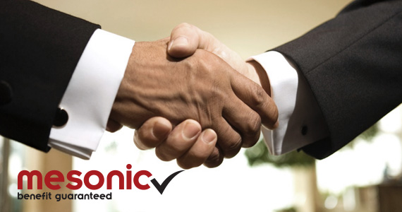 Compania germana Medialine implementeaza in Romania Solutia ERP produsa de Mesonic, WinLine.