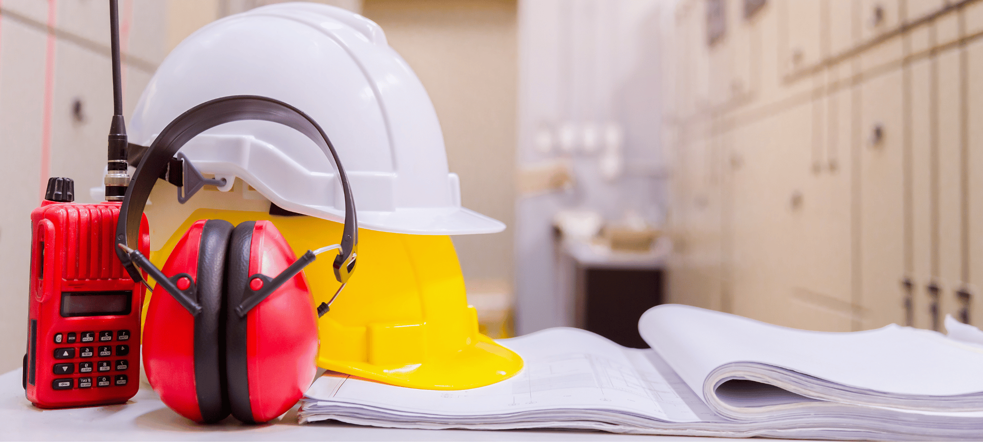 Care sunt companiile care ar trebui să investească în aplicații software de tip SSM?