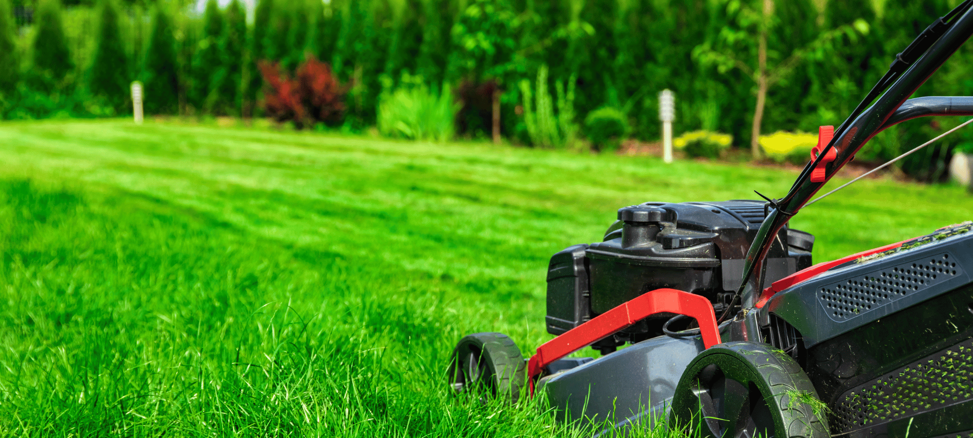 Cum transformă inteligența artificială generativă procesele din producție: cazul Husqvarna