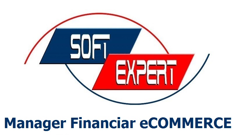 Manager Financiar eCOMMERCE