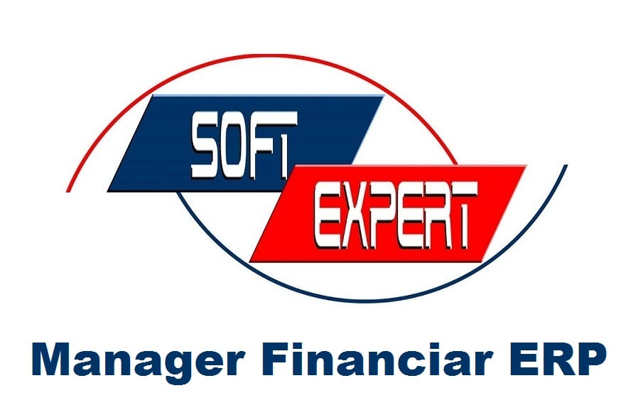 Manager Financiar ERP