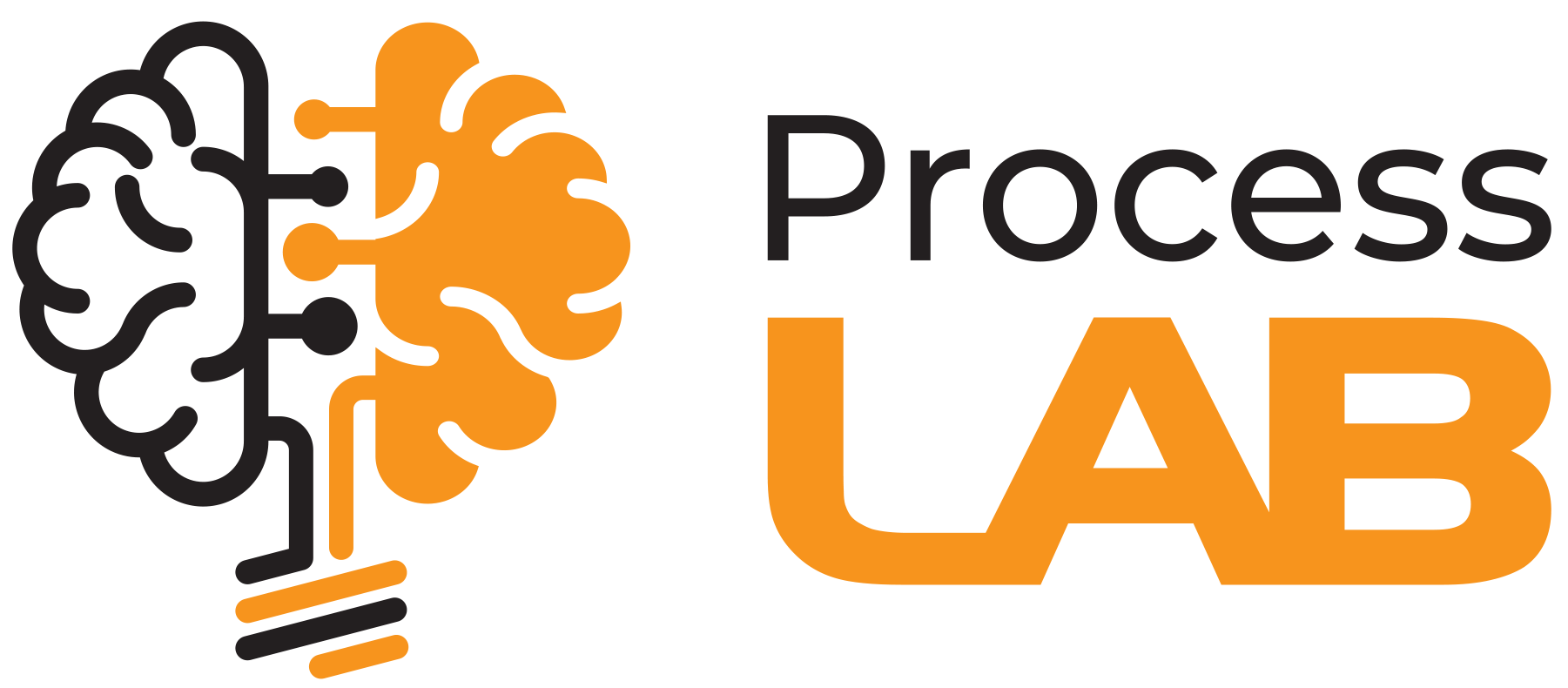 Process Lab Implementare soluții software