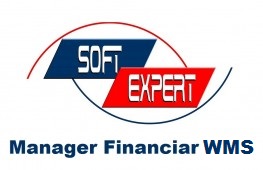 Manager Financiar WMS
